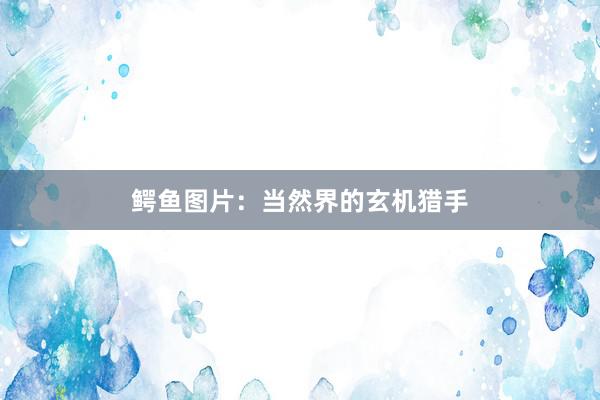 鳄鱼图片：当然界的玄机猎手